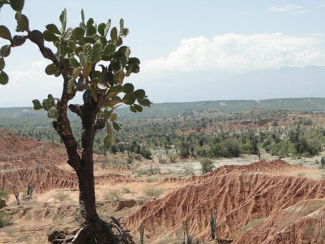 Tatacoa Desert